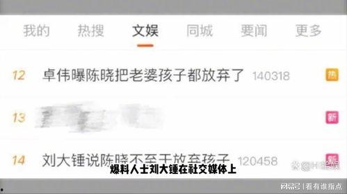 刘大锤最新爆料85后,85后群体新动向